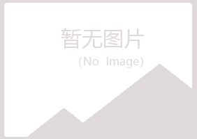 陇南屿山科技有限公司